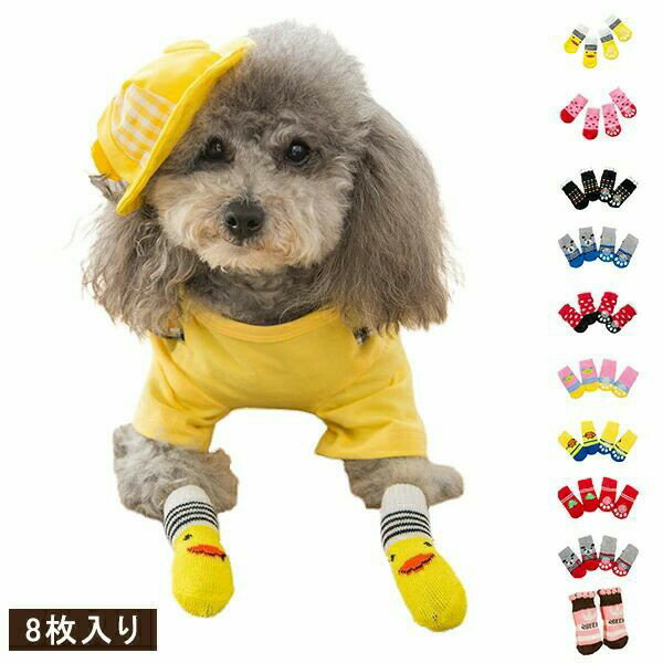 �ɥå����å��� ���ѷ��� 8������ ���ߤ� �̵��� ������ �����ݸ� �Ӥ��ɻ� ����ͽ�� ������� ��� ���� ���� ���Ф��� �����緿 �ڥå� ���� ���å�...