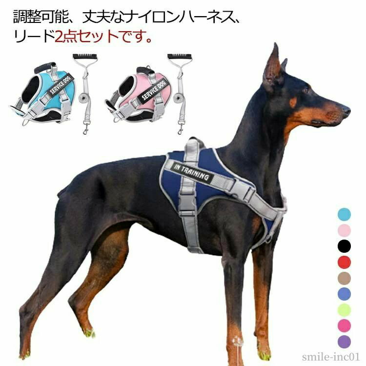 Rakuten - 超大型犬 大型犬 中型犬 小型犬 ハーネス 胴輪 2点セット ハーネスリードセット リード 犬用ハーネス 簡単装着 ハーネス 犬