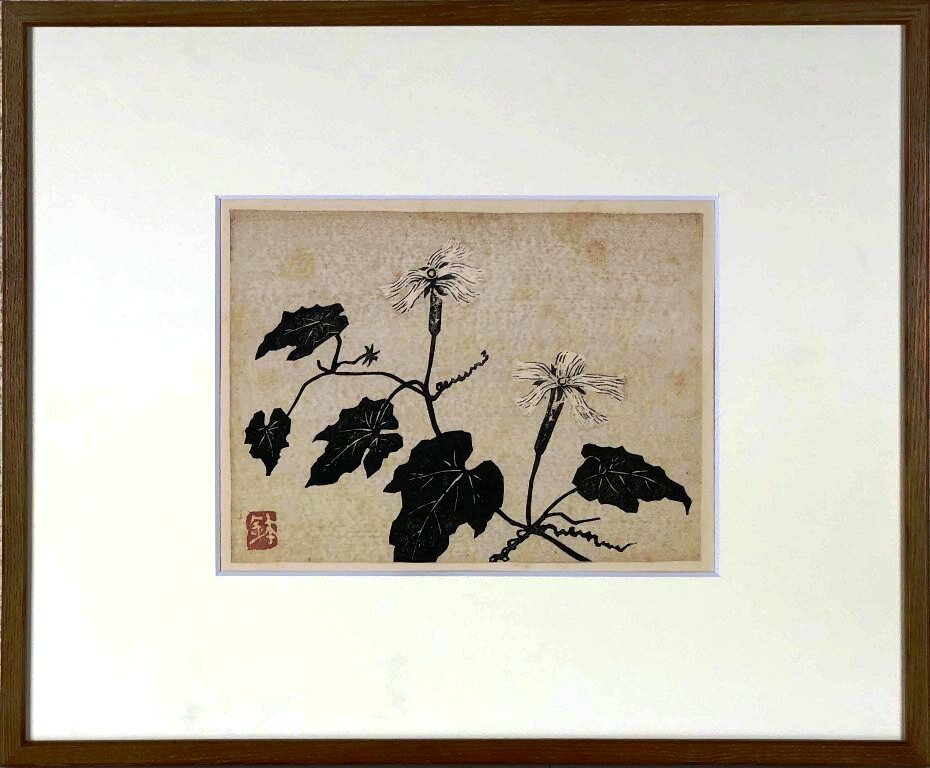 木版画 作品名　烏瓜の花 作家　下澤木鉢郎 寸法　36.5×44cm 1901〜1986　弘前出 青森県褒賞 作品は良好　額は新品作品解説中、寸法については、額縁込みの最大寸法　縦(cm)×横(cm)の順になっており、絵のみの大きさは画面から判断してください。