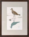 木部一樹 「ムナグロ(2)」 アクリル細密画