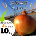 【2Lサイズ】 淡路島産 玉ねぎ 10kg　送料無料(北海道・沖縄を除く)