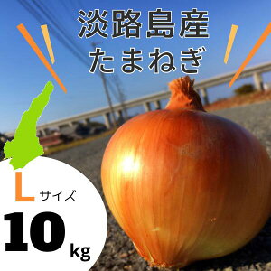 【Lサイズ】淡路島産　玉ねぎ　10kg