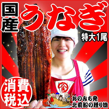 父の日 父の日ギフト にも うなぎ 蒲焼き 国内産【国産 国内産】土用 丑の日 うなぎ蒲焼 1尾(約230g前後〜250g前後) 特大サイズ 宮崎県産・鹿児島県産 同梱6個で送料無料に