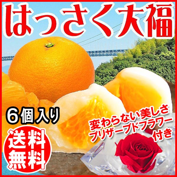 送料無料 ギフト お花付き はっさく大福 期間限定 プチギフト お菓子 プレゼント《新発売》1個づつ手作り はっさく大福6個セット 他の商品との同梱不可 広島県産 尾道産 スイーツ デザート 和菓子 大福 八朔 ハッサク