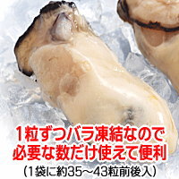 送料無料 カキ 鍋セット 広島県産(業務用)冷凍 牡蠣(かき)大 L 2kg (正味850g×2袋) 広島産 カキフライ お誕生日 内祝いバーベキューセット バーベキュー 材料 BBQ