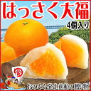 ギフト はっさく大福 プチギフト お菓子 プレゼント《新発売》1個づつ 手作り はっさく大福 4個セット （送料は別途1300円必要です）他の商品との同梱不可 広島県産 尾道産 スイーツ デザート 和菓子 大福 八朔 ハッサク