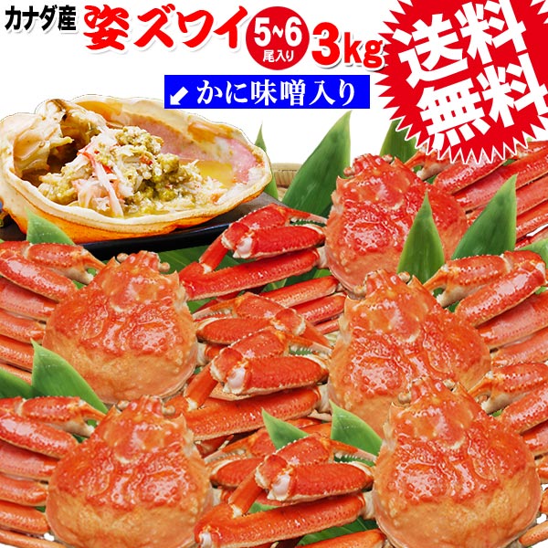 送料無料 ズワイ カニ/蟹/ずわい ボイル ズワイガニ 姿...