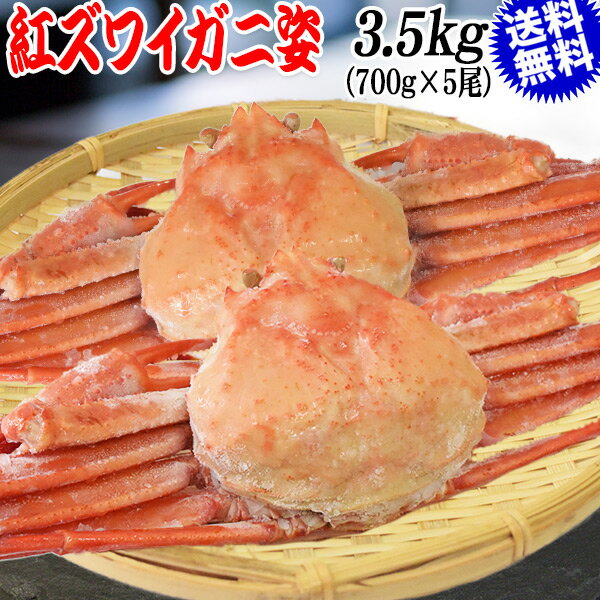 カニ かに ボイル　紅ズワイガニ姿　700g×5尾　約3.5kg 山陰香住港　国産　送料無料　蟹味噌