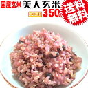 美人玄米 ゴールド 国産原料100％ 350g×1袋 GABAの恵 巨大胚芽米 ギャバ 送料無料 スーパーフード ※日時指定不可【代引き決済不可】メール便限定(宅配便をご選択の場合送料1300円が必要です。)