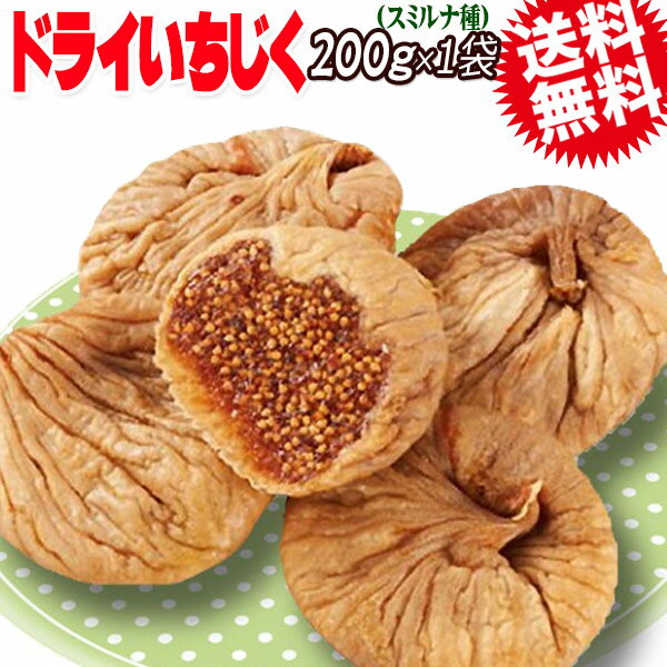 ɥ饤ե롼 ̵ź  ɥ饤   200g1 (ȥ륳)  ե롼 ʪ ᡼ظ ̵...