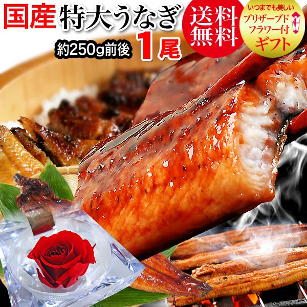 送料無料 父の日 母の日 ギフト プレゼント ギフト プレゼント 送料無料 うなぎ 蒲焼き 国内産 お花付き 炭火焼うなぎ蒲焼1尾 特大サイズ 宮崎県産・鹿児島県産※鰻 蒲焼のタレ付き 【楽ギフ_のし宛書】ウナギ 土用 丑の日