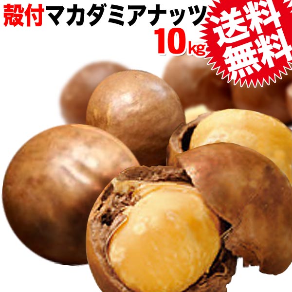 マカダミアナッツ 送料無料 殻付き マカデミアナッツ 10kg（バラ） オーストラリア産 ロースト 製菓材料 ナッツ おつまみ おやつ ※専用のナッツクラッカーが必要です