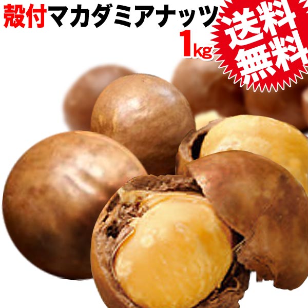 マカダミアナッツ 送料無料 殻付き マカデミアナッツ 1kg×1袋 オーストラリア産 ロースト 製菓材料 ナッツ おつまみ おやつ ※専用のナッツクラッカーが必要です