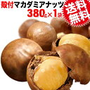 マカダミアナッツ 380g メール便限定 送料無料