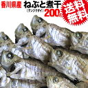  煮干し ねぶと 200g 訳あり メール便限定 送料無料