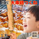 【8月20日以降の発送予定】 国産 手作り 大串 鶏つくね棒 1本 (100g) 岩手県産 大きな 焼き鳥 常温 送料無料 メール便限定 鶏肉 鶏 とり トリ チキン やきとり 肉 BBQ