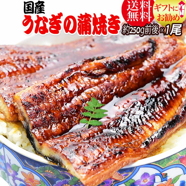 ギフト 贈り物ギフト うなぎ 蒲焼き 国内産 うなぎ蒲焼　1