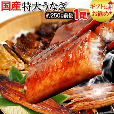 父の日 母の日 ギフト プレゼント うなぎ 蒲焼き 国内産【国産 国内産】土用 丑の日 うなぎ蒲焼　1尾(約230g前後〜250g前後) 特大サイズ 宮崎県産・鹿児島県産 同梱6個で送料無料に