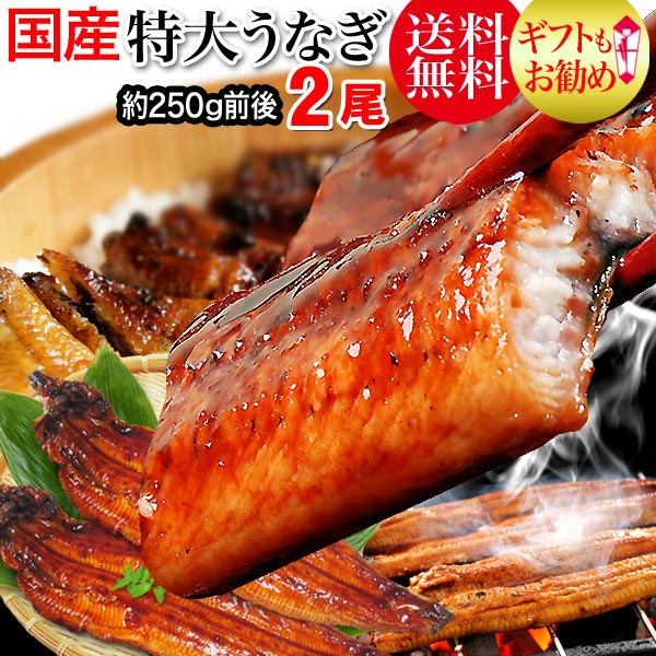 送料無料 敬老の日 ギフト プレゼント 送料無料 うなぎ 蒲焼き 国内産 国内産 炭火焼うなぎ蒲焼2尾 特大サイズ 宮崎県産・鹿児島県産※鰻 蒲焼のタレ付き/【楽ギフ_のし宛書】ウナギ/土用/丑の日/ひつまぶし