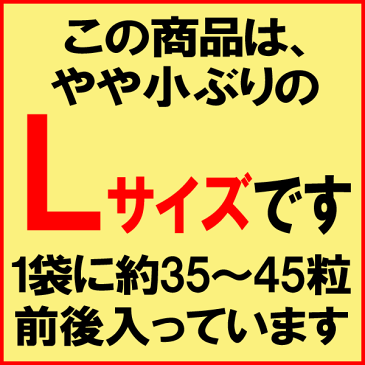 【6/25以降の発送予定】 2L 送料無料 カキ 鍋セット 広島県産(業務用)冷凍 牡蠣 ( かき ) 大 2L 2kg (正味850g×2袋) 広島産 カキフライ BBQ