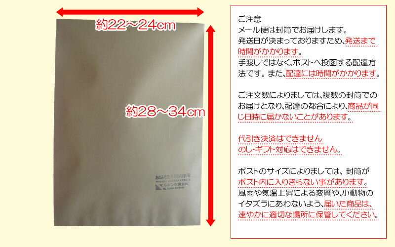 生姜パウダー しょうが ショウガ 国産 無添加 生姜 粉末 50g×1袋(高知県産)ジンジャー 送料無料 ポッキリ ぽっきり メール便限定 2