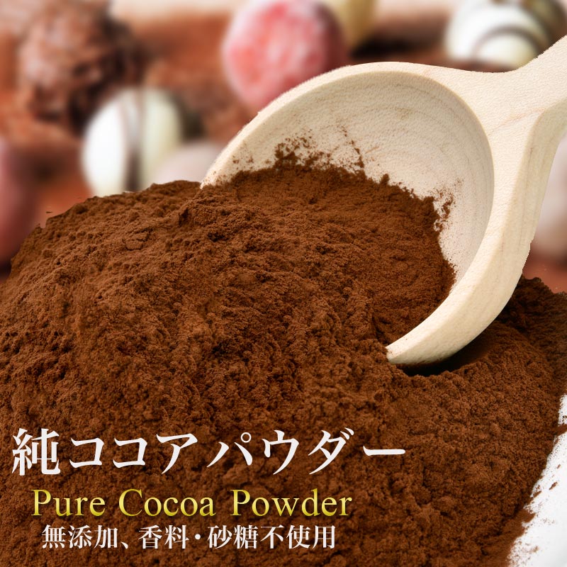 ココアパウダー 700g×1袋 ココア 純ココア オランダ産　送料無料 メール便限定 無糖 粉末