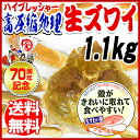 生 ズワイガニ 姿切りガニ 殻むき 簡単 1.1kg 約2尾...