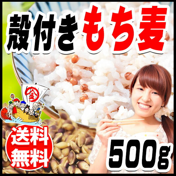 国産 もち麦 殻付き 500g×1袋 《未精麦》訳あり 小サイズ（昨年作付のそばの実がたまに混入することがございますので、そばアレルギーの方はご遠慮ください）