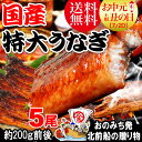 うなぎ 蒲焼き 国内産 送料無料 ギフト 土用の丑の日 お中...