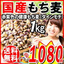 【エントリーでポイント10倍! 10/19 20時〜10/23 09:59迄】 もち麦 国産 1kg ダイシモチ 送料無料 もちむぎ ぽっきり 送料無料