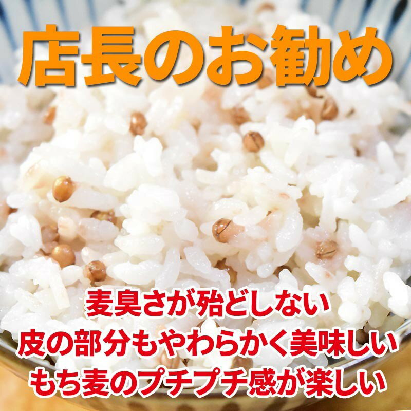 ダイシモチ 国産 もち麦 殻付き 500g×1袋 訳あり 小サイズ 雑穀米 に　昨年作付のそばの実がたまに混入することがございますので、そばアレルギーの方はご遠慮ください