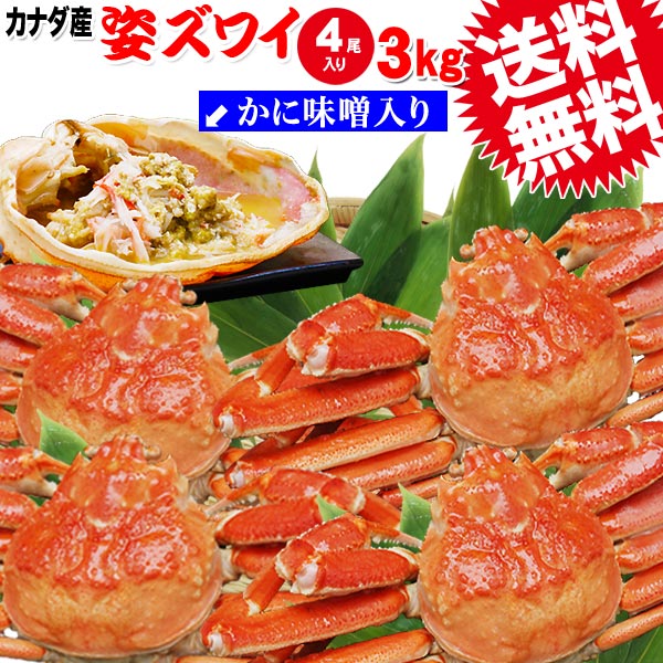 カニ かに 蟹/ 姿ズワイ 4尾 特大 3kg ずわい ボイル ズワイガニ (カナダ産) 3kg(4杯、不揃い)業務用 送料無料 鍋セ…