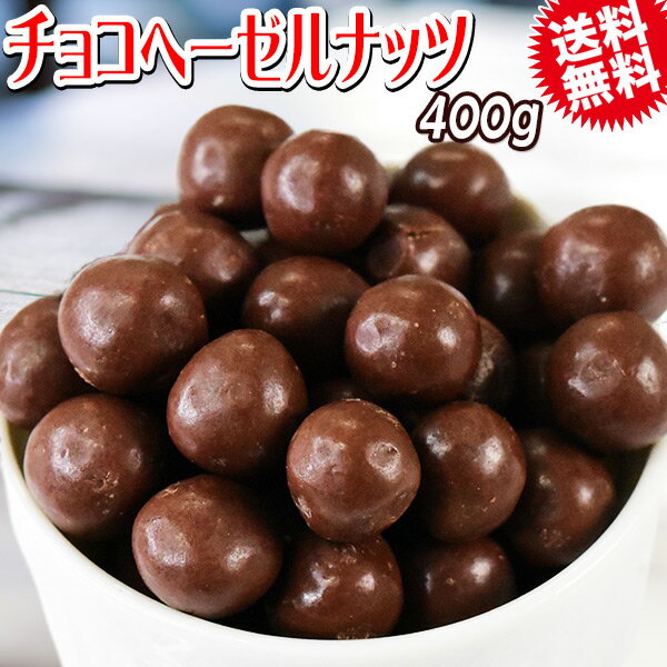 【2024年2月下旬以降の発送予定】 チョコヘーゼルナッツ 400g メール便限定 送料無料