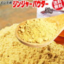【5月9日以降の発送予定】 ジンジャーパウダー 送料無料 ポッキリ (粉末)50g×1袋 インド産 メール便限定 生姜 スパイス