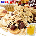 ミューズリー 無塩 600g と 国産はちみつ140g ナッツハニー朝食セット 送料無料 メール便限定 オートミール バナナチップ サルタナレーズン 割れカシューナッツ シンプルミューズリー スーパーフード シリアル