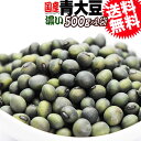 国産 濃い 青大豆 500g×1袋 送料無料 大豆 希少品種...