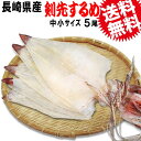 剣先するめ 国産 するめいか いか ギフト 中小サイズ 5枚1束《長崎県産》送料無料 TV ぐるナイ で紹介！ゴチ ナイナイ 剣先するめいか 極上 今は幻となった《国内産》剣先するめイカ ダイエット 高級 珍味