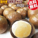 マカダミアナッツ 殻付き 380g ナッツ メール便限定 送料無料 パルミトレイン酸　※専用のナッツクラッカーが別途必要です。