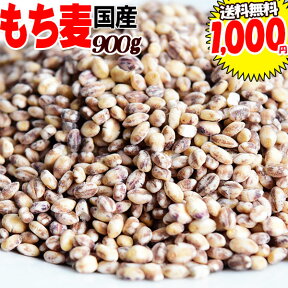 もち麦 国産 900g 送料無料 ダイシモチ もちむぎ 茶(赤紫)色 0.9kg ×1袋★ お一人様1袋限り