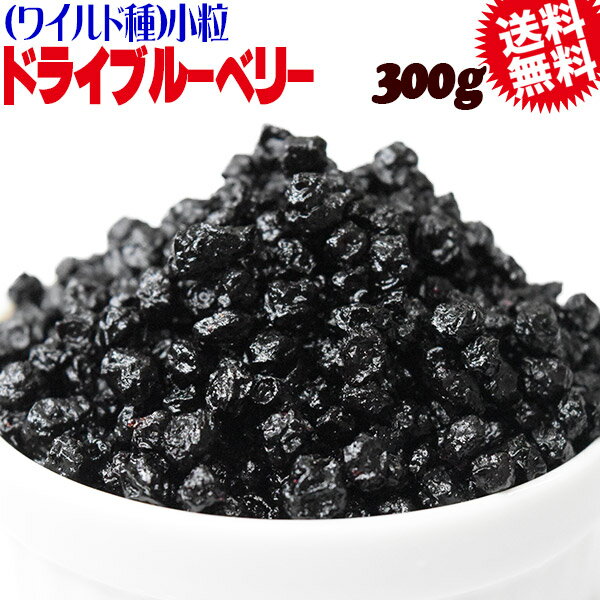 ドライブルーベリー ワイルド種 300g×1袋 アメリカ産 メール便限定 送料無料 小粒 0.5mmサイズ