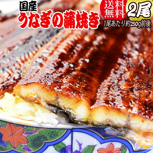 うなぎ 蒲焼き 国内産 送料無料 ギ