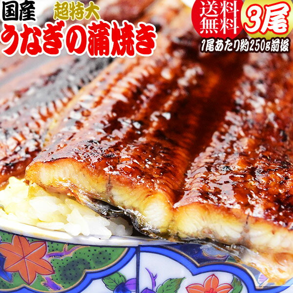 うなぎ 蒲焼き 国内産 送料無料 ギフト 土用の丑の日 父の日 1尾約250g前後×3尾セット 国産 うなぎ 超特大 鰻土用　丑の日《正規品》お中元 贈り物 母の日