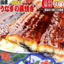 うなぎ 蒲焼き 国内産 送料無料 ギ