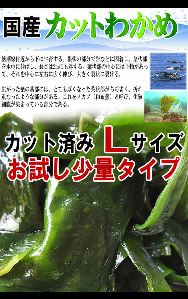 わかめ 国産 乾燥 送料無料【送料無料】わかめ《三陸産》若布/カットわかめ 40g×2袋 国産 乾燥 お試しセット 送料込み マグネシウム