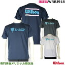 限定品ウィルソン S/JリーグTシャツ 