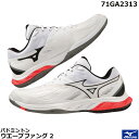2023年度 ミズノ バドミントンシューズ ウエーブファング 2 71GA2313 ユニセックス 日本バドミントン協会検定合格品 男女兼用