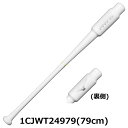 【送料弊社負担】MIZUNO ミズノ 木製バット 1CJWT249 打撃可トレーニング PNVW 野球用品