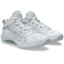【送料無料】アシックス バスケットシューズ メンズ レディース GELHOOP V17 1063A096-100 asics ホワイト ゲルフープV17 スタン...