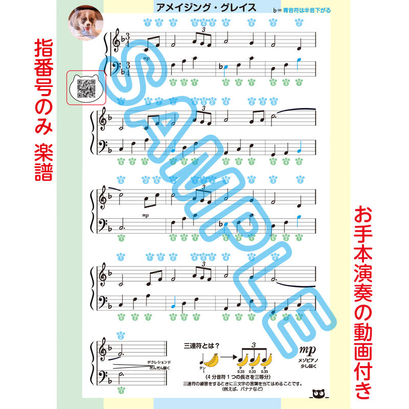 「 アメイジング・グレイス 」楽譜今までになかった!お手本演奏動画付き●指番号&ドレミ付き ●指番号のみ●指番号&ドレミなし楽譜のA4サイズ3枚セット 音符カー...