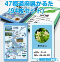 47都道府県かるたかるた 都道府県かるた 地図 日本地図 観光地入り地図 河川 カード かるた かるたゲームゲーム知育 書き順 おえかきボード 3歳~ 知育玩具 知育教材